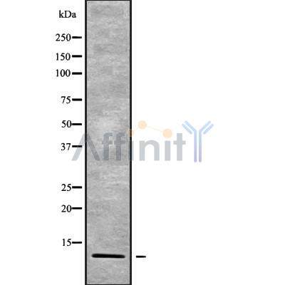 Валидация Affinity DF9467 - 22055
