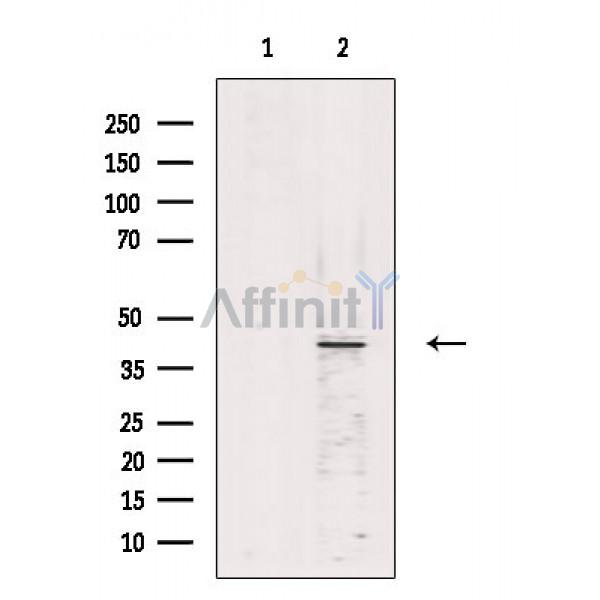 Валидация Affinity AF6659 - 3935