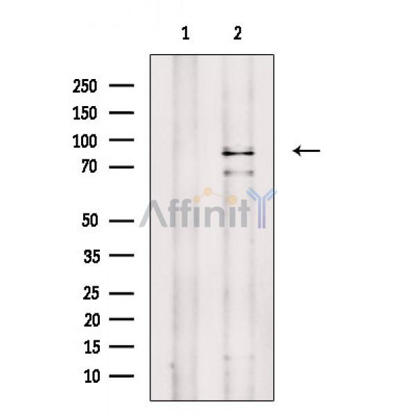 Валидация Affinity AF6822 - 4060