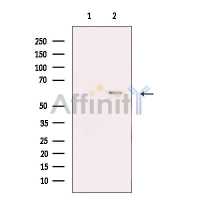 Валидация Affinity DF13523 - 8933