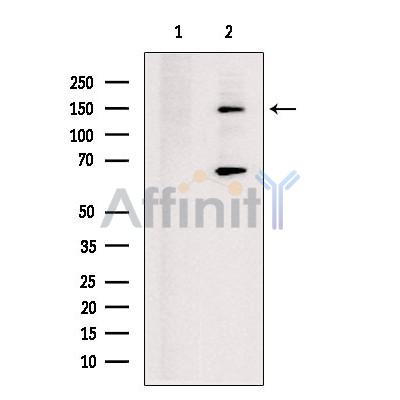 Валидация Affinity DF13337 - 8525
