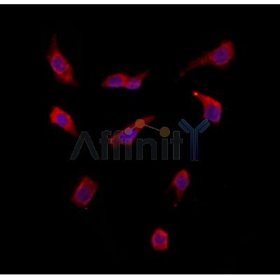 Валидация Affinity DF12044 - 6088