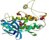 Mitogen Activated Protein Kinase Activated Protein Kinase 3 (MAPKAPK3)