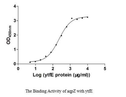 Функциональный ИФА: связывание aqpZ с белком E. coli ytfE