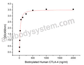 Валидация активности AntibodySystem AHE03401