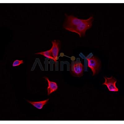 Валидация Affinity DF3241 - 14079