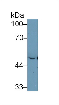 13143