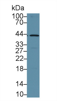 13332