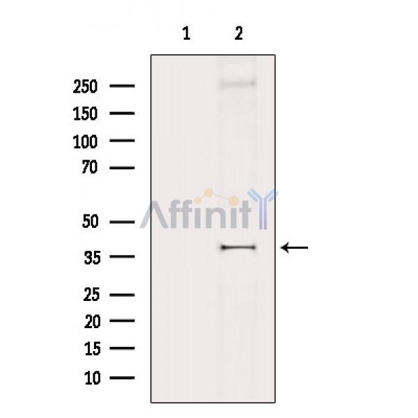 Валидация Affinity DF4899 - 16697