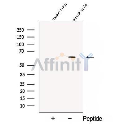 Валидация Affinity DF12913 - 7663