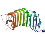 Zinc Finger Protein 414 (ZNF414)
