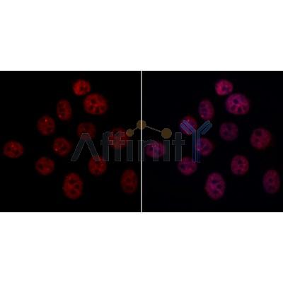 Валидация Affinity DF12832 - 7551