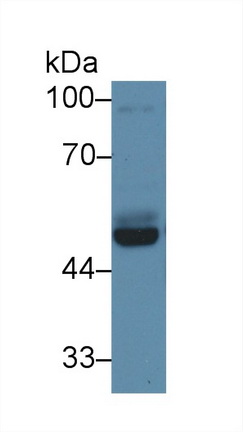 13578