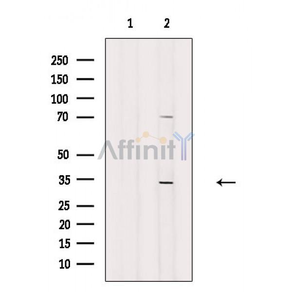 Валидация Affinity DF3271 - 14125