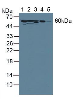6413