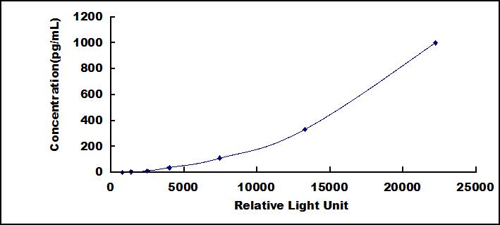 65292