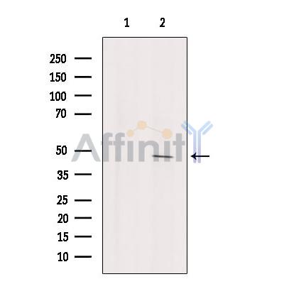 Валидация Affinity DF6682 - 18175