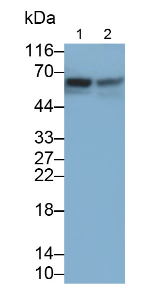 20471