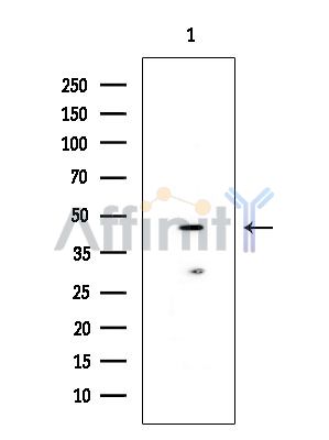 Валидация Affinity DF14308 - 10196