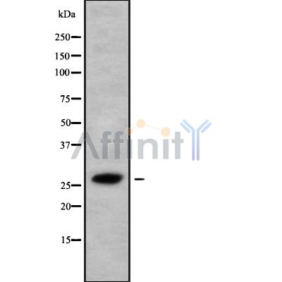 Валидация Affinity DF9361 - 21874
