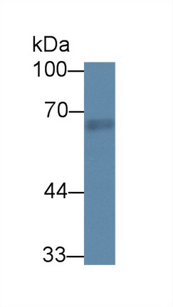8783