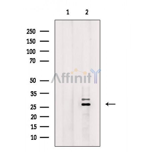 Валидация Affinity AF6777 - 4020