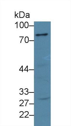 13986