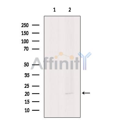 Валидация Affinity AF6432 - 3741