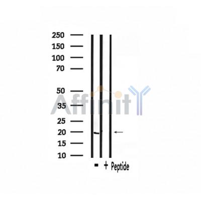 Валидация Affinity DF4030 - 15283