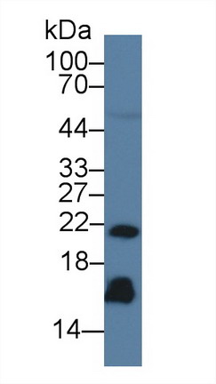 10510