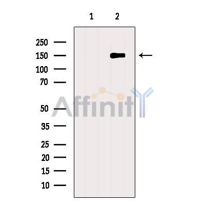Валидация Affinity DF4944 - 16773