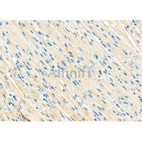 Валидация Affinity DF3802 - 14919