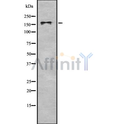 Валидация Affinity DF8304 - 20154
