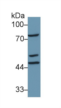 13700