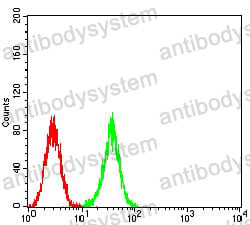 Валидация IF - AntibodySystem RHH53101