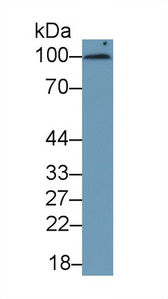 20769