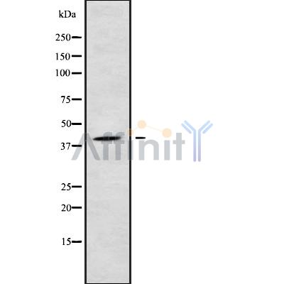 Валидация Affinity DF9150 - 21497