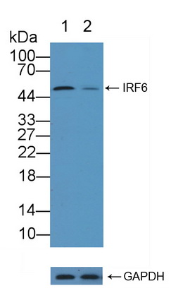 12178
