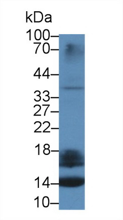13852