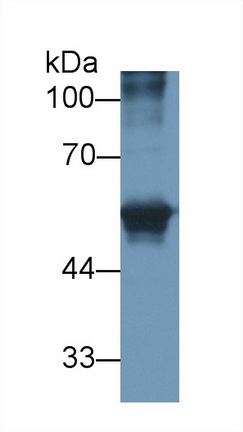 13418