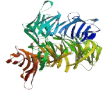Zinc Finger Protein 227 (ZNF227)
