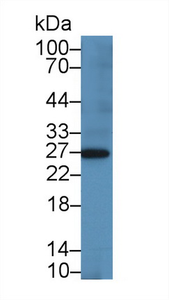 13715