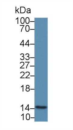 12416