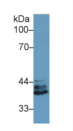 13201