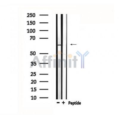 Валидация Affinity DF4795 - 16530