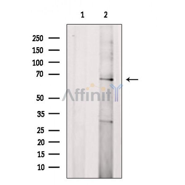 Валидация Affinity DF4712 - 16402