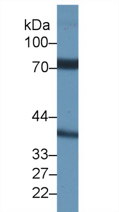 10348