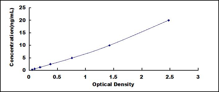 38204