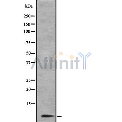 Валидация Affinity DF8935 - 21087