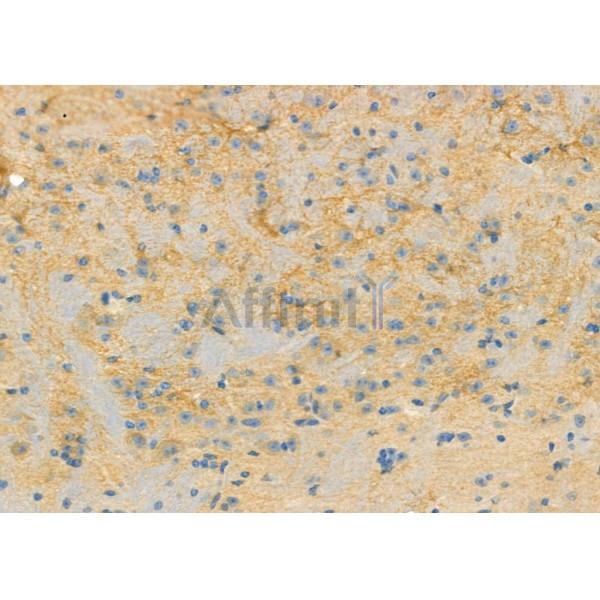 Валидация Affinity DF3686 - 14704